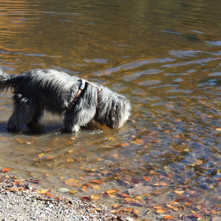 Herbst 2015 (1)